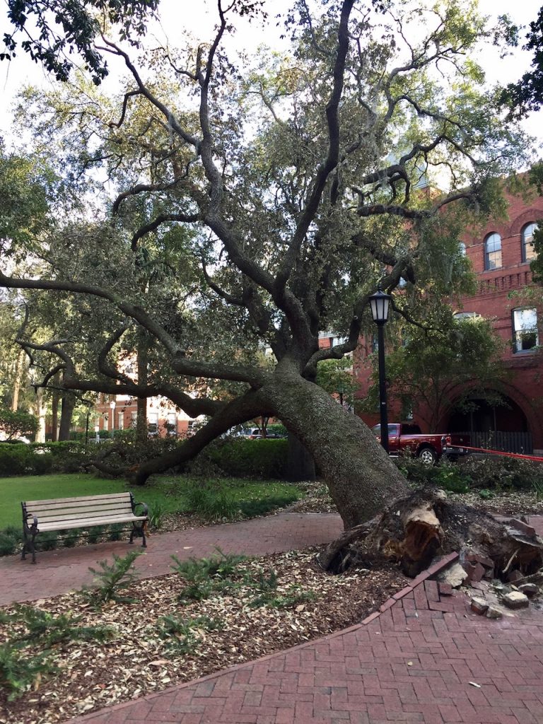 Savannah, Georgia