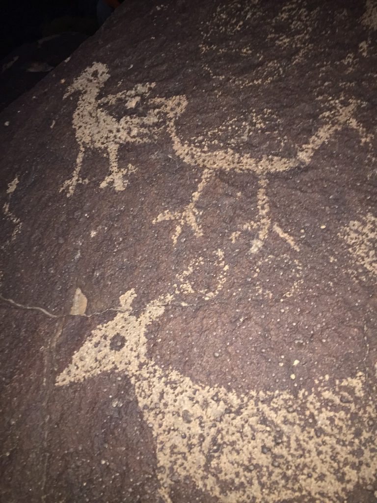 Petroglyphs at Petroglyph National Monument