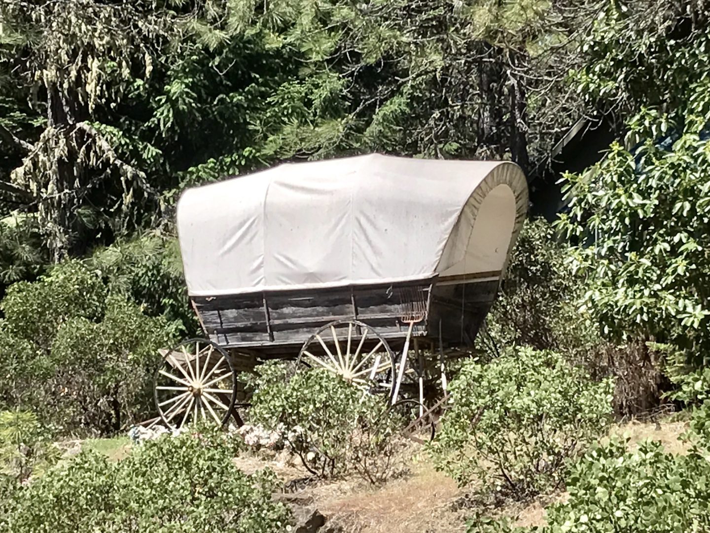 When you see a prairie wagon on a hill, you know you've reached the campground. Campers enjoy an Old West theme throughout their stay.