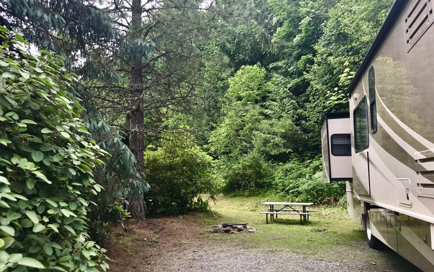 Our site was beautiful, and many other sites were nestled even more deeply into wooded spaces. There was still plenty of clearance for taller rigs.